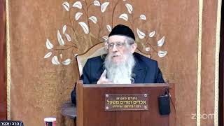 הרה"ג הרב וועכטר שליט"א כ"ה כסלו תשפ"ו - מאמר הרבי הריי"צ תש"ח ד"ה והנה סולם מצב ארצה (הרב אברהם מנחם מענדל וכטר) - התמונה מוצגת ישירות מתוך אתר האינטרנט יוטיוב. זכויות היוצרים בתמונה שייכות ליוצרה. קישור קרדיט למקור התוכן נמצא בתוך דף הסרטון