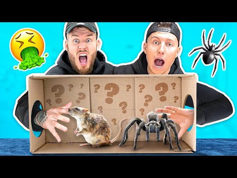 WAS IST IN DER BOX CHALLENGE! (iCrimax vs StandartSkill)