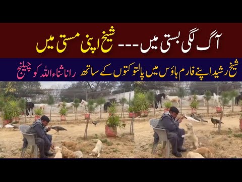 Sheikh Rashid in his freedom house with pet dogs and animals | Sheikh Rasheed farm house |