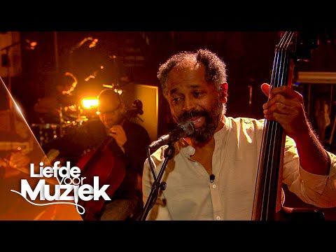 Ronny Mosuse - 'Dan Heb Ik Jou Nog' | Liefde voor Muziek | VTM