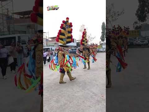 Cofradía De Negritos Centro Social Representativos Hijos De Miraflores Huamalies Huánuco Perú