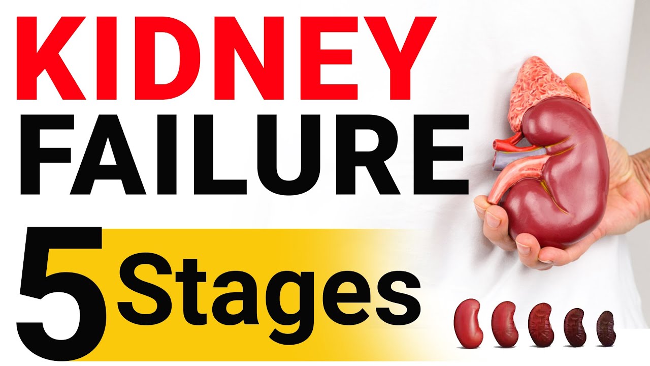 5 Stages of Kidney Failure