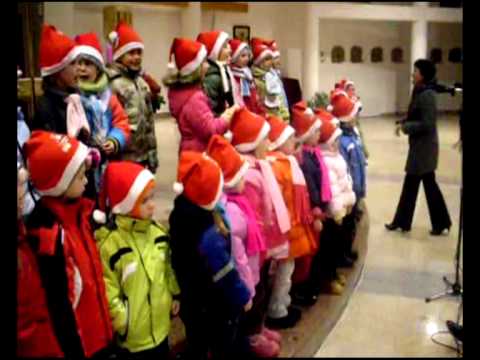 41. fotografia fotogalérie Videogaléria