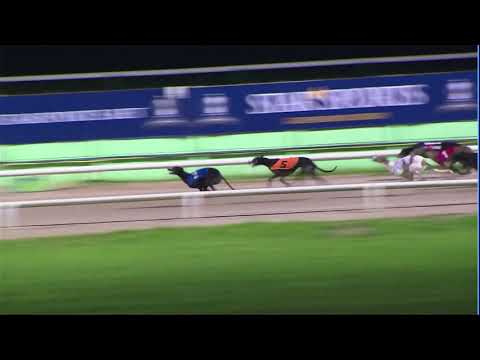 2020 DERBY PLATE - HEAT 2 - T2 VIXONS LAD