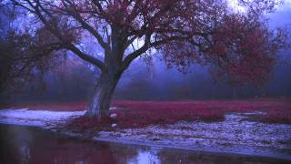 Mistress of the Dead - Only Ashes and Remembrance