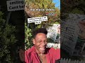 Tyler The Creator Making The Hey Now Remix Relatable Tylerthecreator Thatguy Heynow