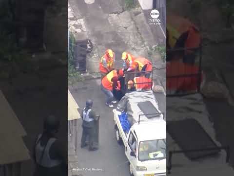 Japan bear captured after multi-day hunt closes schools