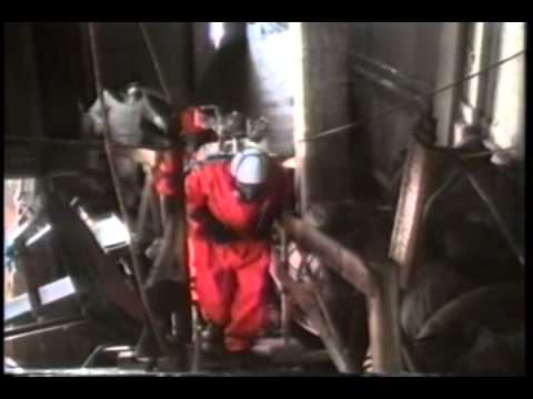 チェルノブイリ:研究者たちは驚くべき発見をする – これらの動物は放射線を無視する