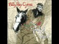 Billy Ray Cyrus ~ Should I Stay