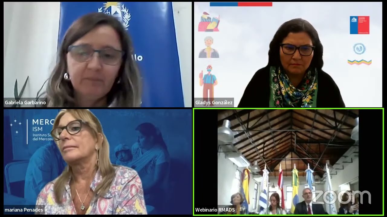 Webinario “Sistemas de Protección Social de las Personas Mayores en el MERCOSUR”.