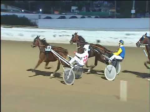 Trotto 05/11/2017 - 4ª corsa