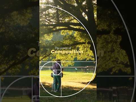 The Power of Composition