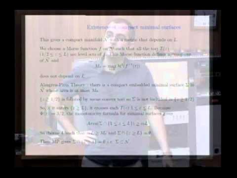 Laurent Mazet - Minimal surfaces in finite volume hyperbolic 3-manifolds