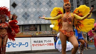 草加よさこいサンバフェスティバル2024⑤ フロール・ヂ・マツド・セレージャ