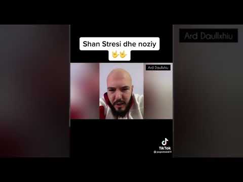 Don Phenom shan Stresi dhe Noizy (DISS)