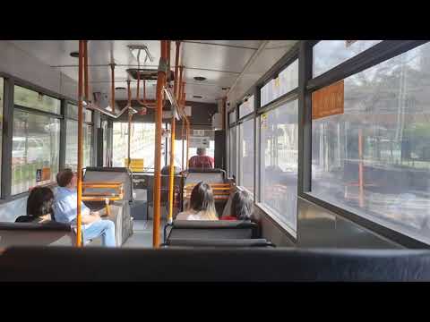 North Sydney Bus Charters TV 9175 - Mercedes Benz O405NH.