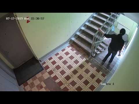 Яндекс — поиск по видео