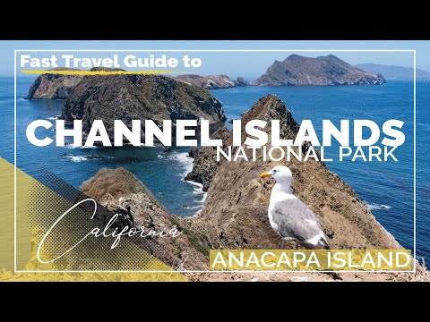 Anacapa Island in Channel Islands National Park (Crazy Birds during Nesting Season) [4K]