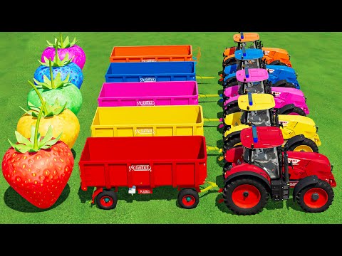 TRANSPORTING JCB Fastrac & CLAAS & McCormick TRACTORs & BIG STRAWBERRY with FLATBED TRAILER! FS22