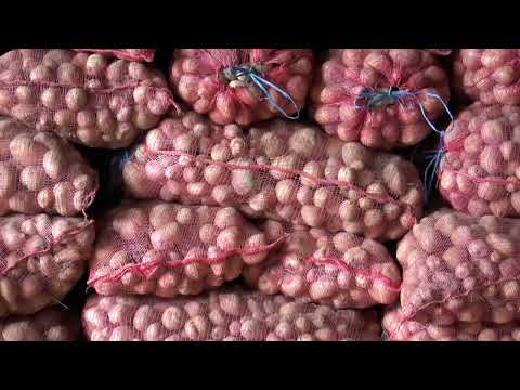 ARILJE 18.10.2023. Poljoprivrednik Milojko Jovanović