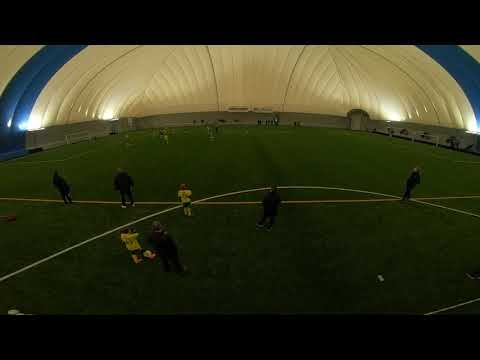 Ilves P08 Värit - TPS