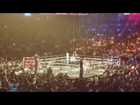 Live action as gervonta tank davis ko jesus cuellar