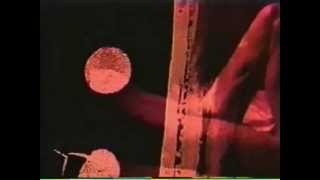 Dan Friel - Glass Kite