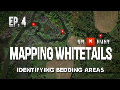 Part 4 - Mapping Public Land Whitetails | Identifying Bedding Areas