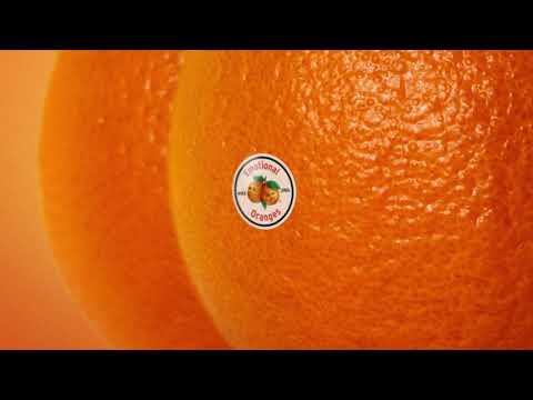 Emotional Oranges - Not Worth It (Audio)