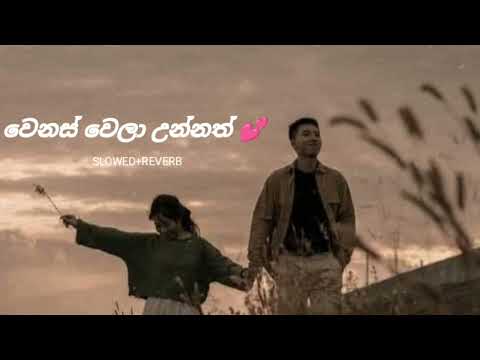 wenas wela unnath__use hede fone __hert of music feel 🖤✨