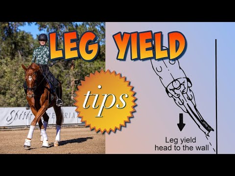 Leg Yield 101 - Everything You Need to Know!