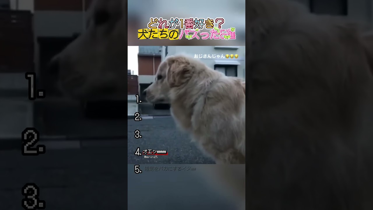 YouTubeサムネイル