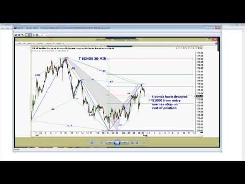 August 2nd Trade What You See with Larry Pesavento on TFNN - 2016