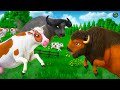 Cow And Buffalo Team Up Against Bison Animal Fights In Forest Wild Animal Attacks