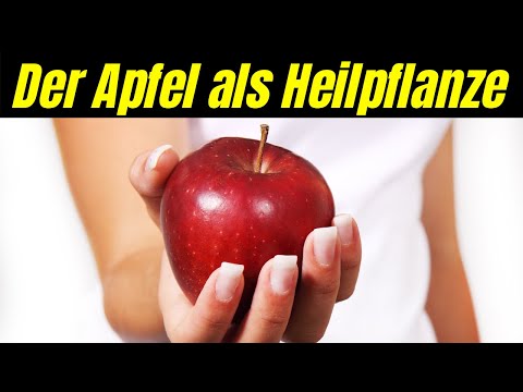 Heilkraft des Apfels: Entdecken Sie die alten babylonischen Heilpflanze!