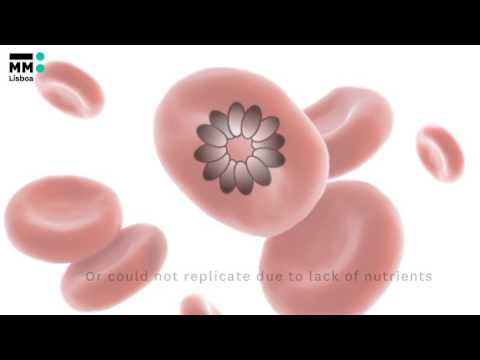 Nutrient Sensing Modulates Malaria Parasite Virulence