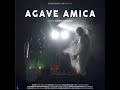AGAVE AMICA Trailer