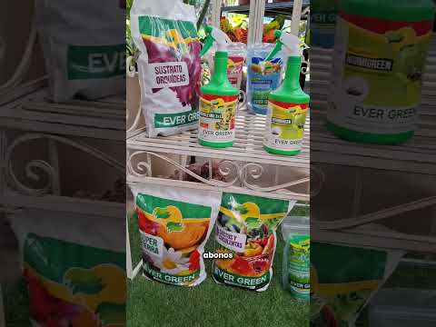 Jardinería en Curridabat | Todo para tus plantas y espacios verdes