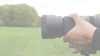Video 2 of Product SIGMA 100-400mm F5-6.3 DG DN OS | Contemporary Full-Frame Lens (2020)