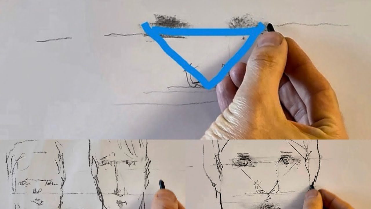 Malerei/Zeichnung - Portrait Basics - "Elementare Proportionen für ein Gesicht in Frontalansicht" (Level 1-3)