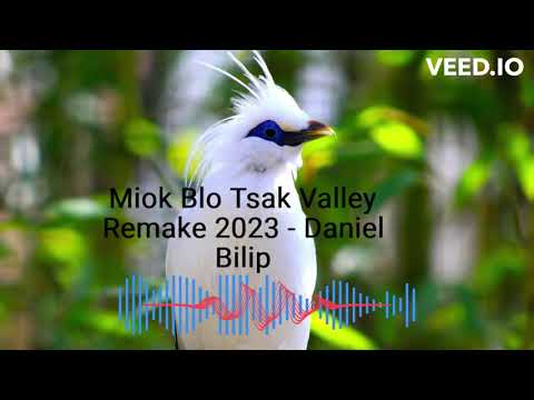 Miok Blo Tsak Valley Remake   Daniel Blilip 2023