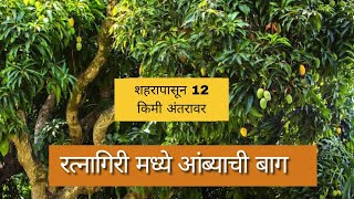 वाडी वस्तीतील डांबरी रोड टच बाग तुमच्या बजेटमध्ये#kokan #mango