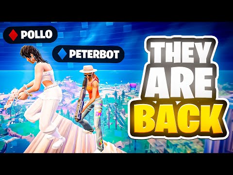 Peterbot & Pollo Are BACK - New Meta Breakdown