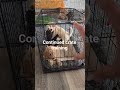 Thumbnail image 7