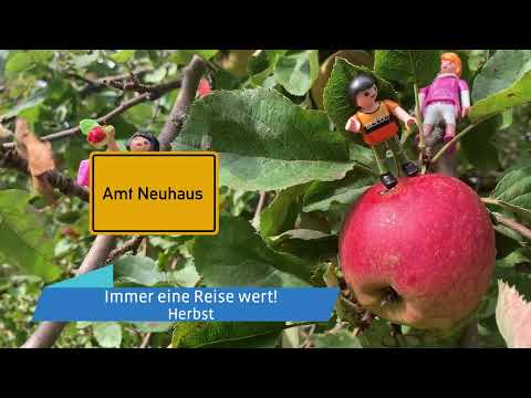 IGW 2022 online - Amt Neuhaus