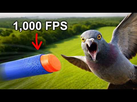 Sniper Nerf Guns