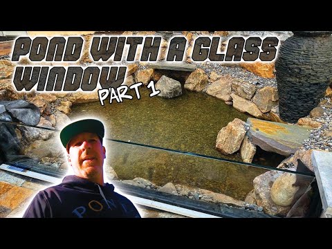 A POND with a  GLASS WINDOW!......🤔 (Part 1.)
