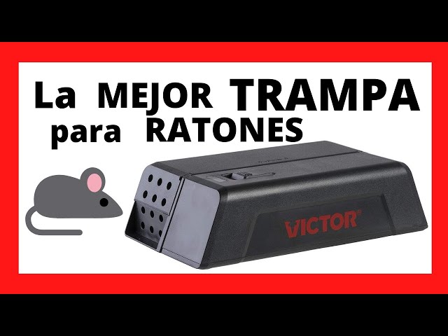 Vídeo relacionado con Gaethra Trampa Electrica Ratones y Ratas Reutilizable Asesino de Ratones Eléctrico Trampas humanas para Interior, Jardín y Cocina Descarga Eléctrica Instantánea