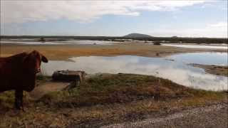 The Seekers~All Over The World❤✿ڿڰۣڿڰۣ