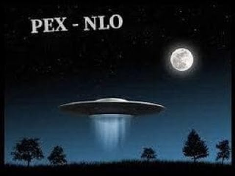 PEX - NLO